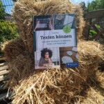 Texten können