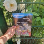 Die drei ??? - Hilfe, Geisterzug