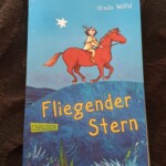Fliegender Stern